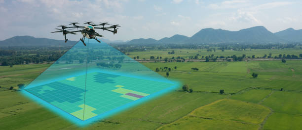 Un drone equipado con cámara infrarrojas y sensores que proporcionan imágenes aéreas del cultivo.
