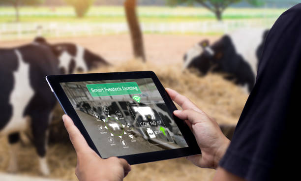 Un software que permite monitorizar el ganado. Un caso de digitalización de las granjas y la ganadería.