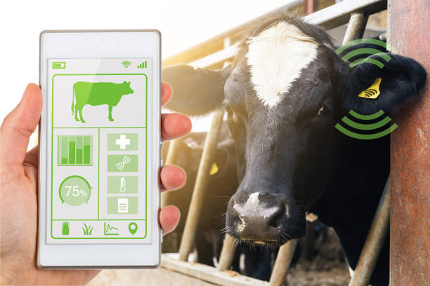 Control de la salud del ganado mediante tecnología IOT