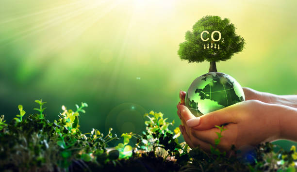 Reducción de huella de carbono a favor de la sostenibilidad medioambiental.